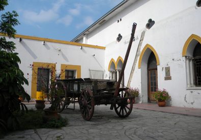 Museo Estatal de Culturas...