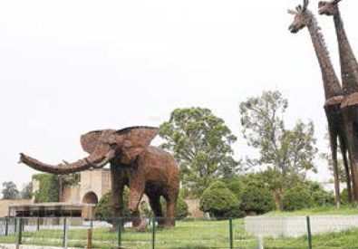 Zoológico La Pastora